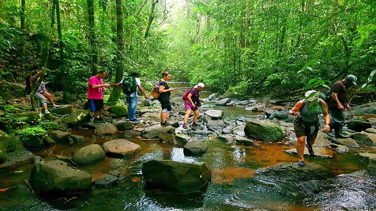 Adventure Tour