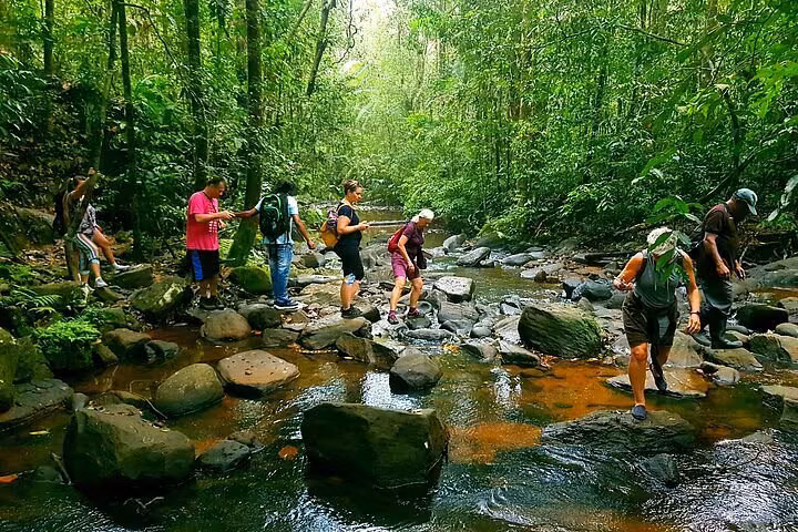 srilanka rainforest tour in 2025 srilanka