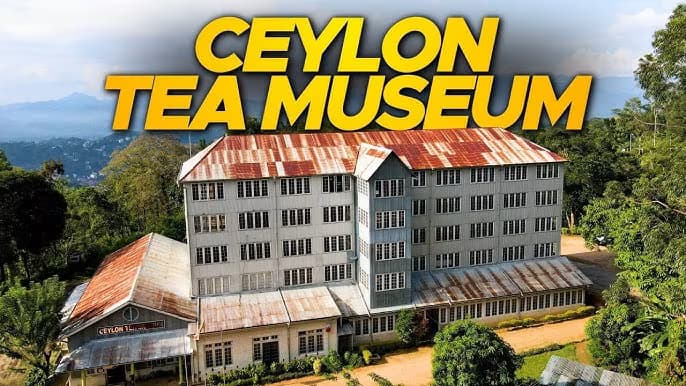 ceylon tea museum in kandy srilanka day tour 2025 srilanka tea museum kandy daytour in 2025