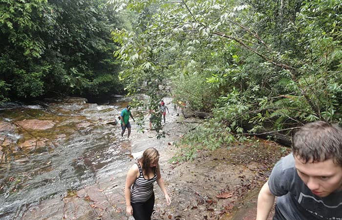 srilanka kitulgala jungle trekking daytours 2025 kitulgala jungle trekking in srilanka 2025