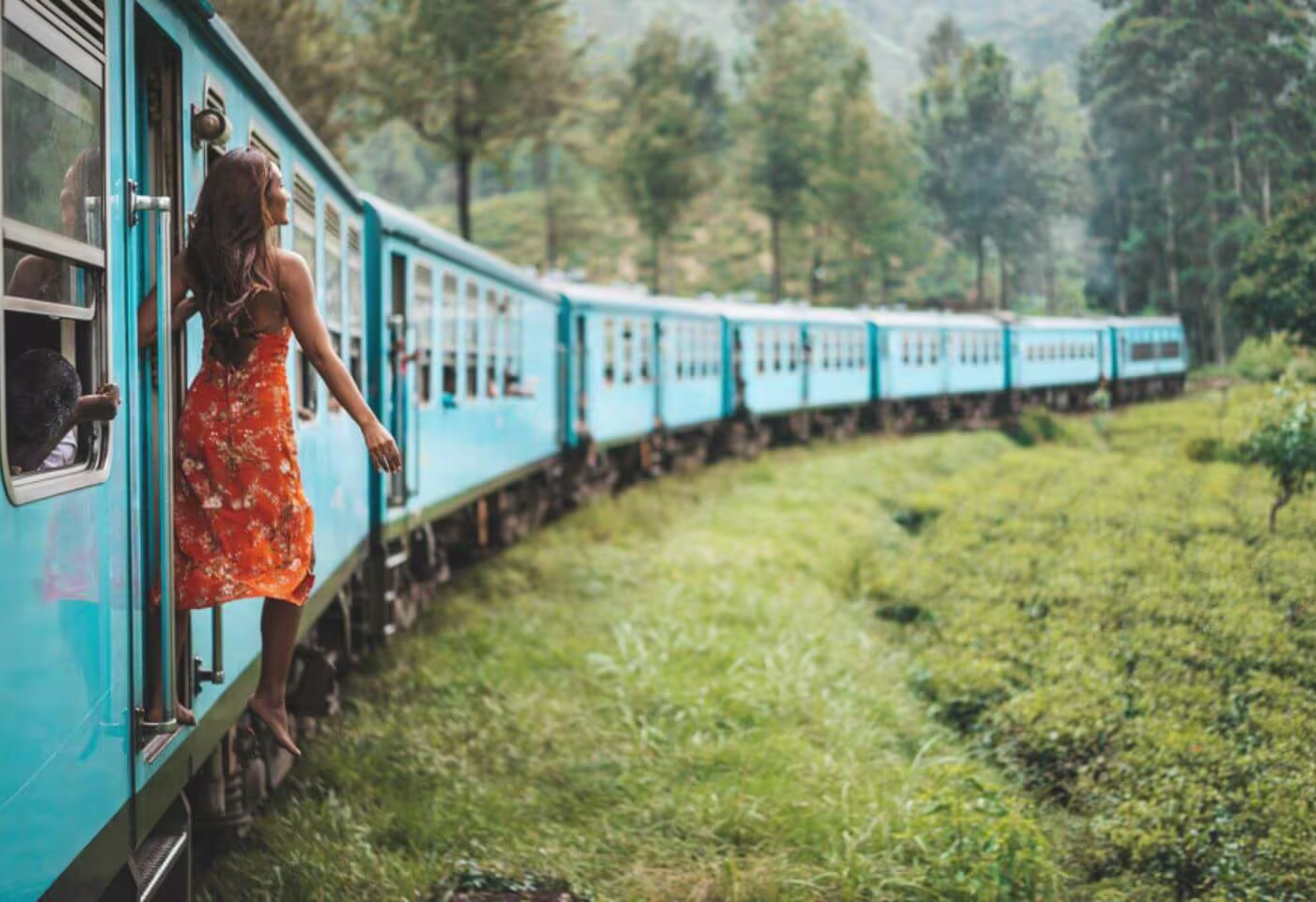 srilanka most scenic train door ride daytours in nuwaraeliya 2025 srilanka most beautyful scenic train ride in nuwaraeliya