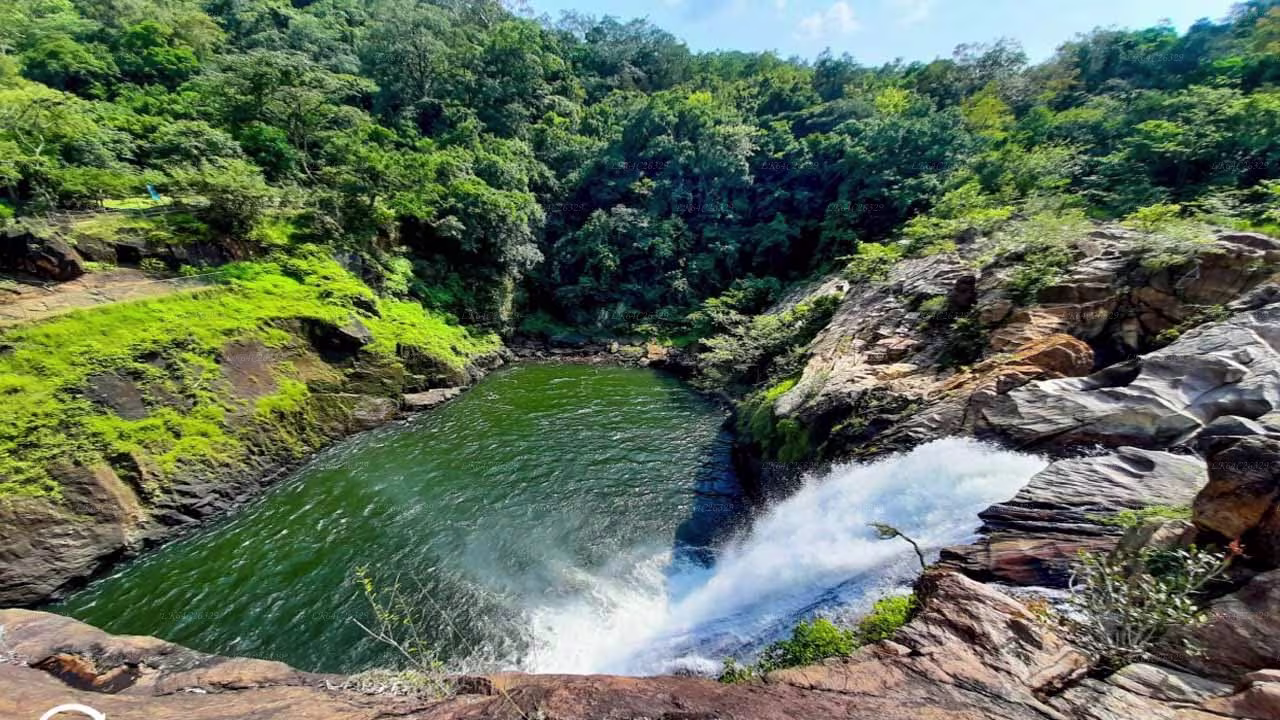 srilanka sinharaja rainforest waterfall bathing in 2025 sinharaja rainforest waterfall bathing in srilanka daytours