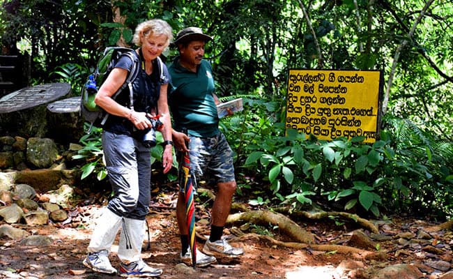 sinharaja trail walk tours in srilanka 2025 sinharaja trail walk tours in srilanka 2025