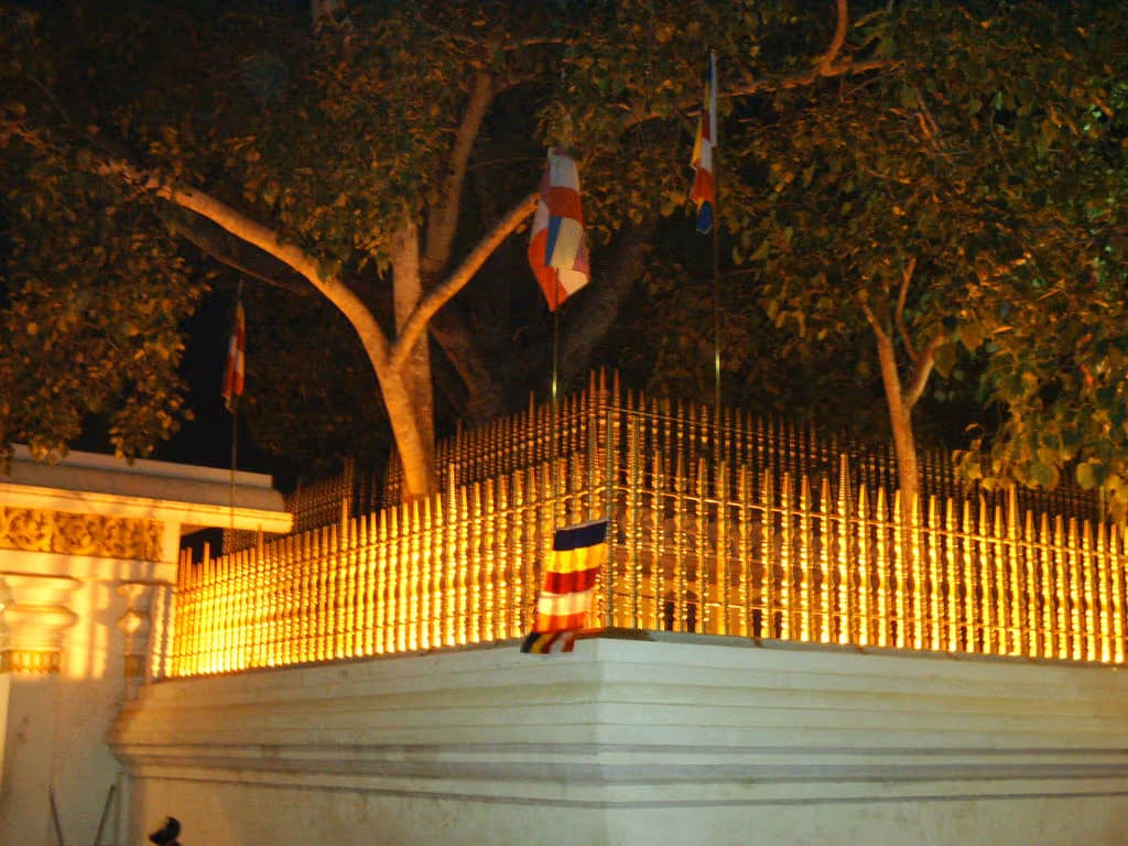 anuradhapura sri maha bodhi sacred tree tours in srilanka 2025