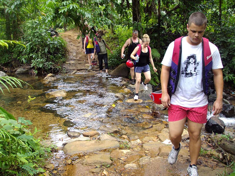 kitulgala rainforest trekking and waling in srilanka