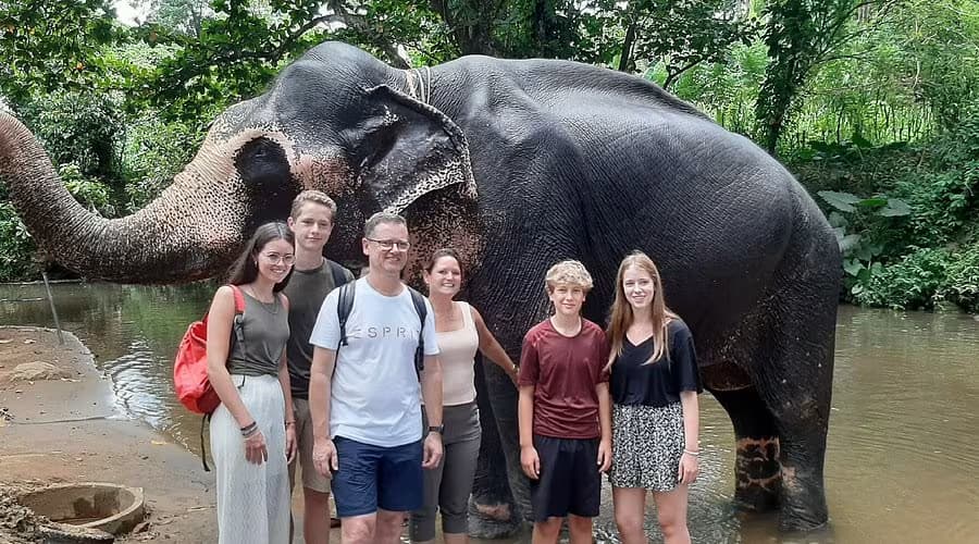 full day pinnawala elephant bathing , feeding tours in srilanka 2025